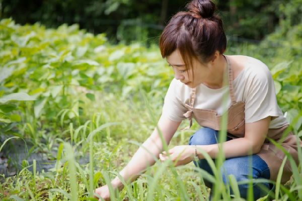 わが家の雑草対策:花を摘む除草対策