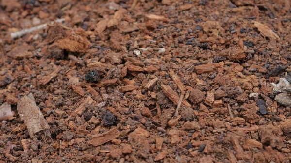 わが家の雑草対策:お庭に山の中の環境を再現する
