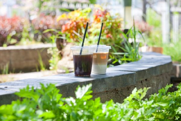 わが家の雑草対策:グランドカバーによる雑草の軽減