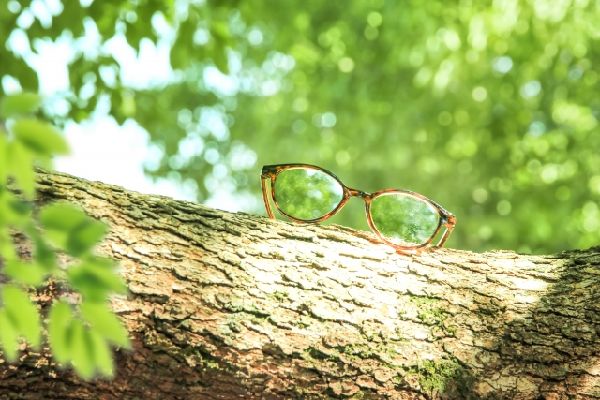 わが家の雑草対策:雑草の観察