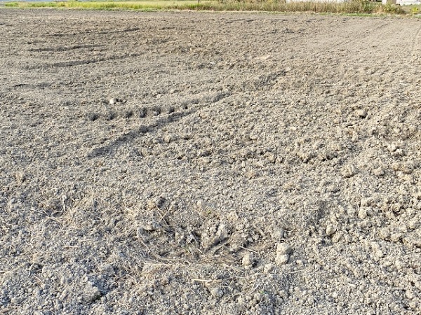 時間をかけない簡単な水撒き方法:乾いた土