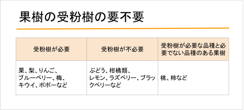 果樹の受粉樹の要不要