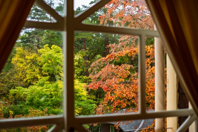 洋風のお庭に合う!紅葉がきれいな庭木:窓から見る紅葉